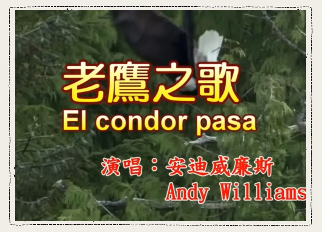 是雄鹰就要展翅高飞是蛟龙