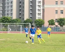 搏击队伍